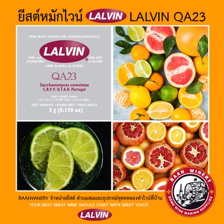 ยีสต์หมักไวน์ ยีสต์สำหรับทำไวน์ ยีสต์ หมัก ไวน์ ยีสต์ ทำ ไวน์ ผง ยีสต์ LALVIN QA23 WINE YEAST