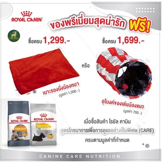 Premium Gift อุโมงค์แมว ของเล่นแมว ตรา Royal Canin