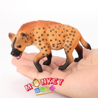 Monkey Toys - โมเดลสัตว์ หมาป่า ไฮยีนา ส้ม ขนาด 11.00 CM (จากหาดใหญ่)