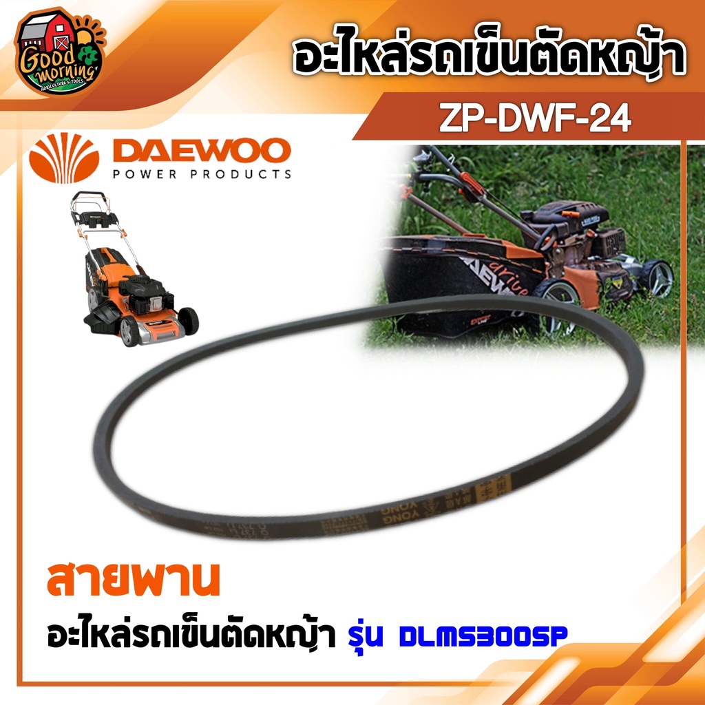 DAEWOO 🇹🇭 อะไหล่รถเข็นตัดหญ้า รุ่น DLM5300SP  เฉพาะสายพาน ( O737 Li )  รถเข็ญตัดหญ้า อะไหล่รถเข็น แดวู อะไหล่ สายพาน