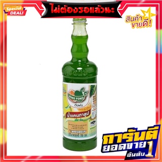 ติ่งฟง น้ำสควอช แคนตาลูป 760 มิลลิลิตร Ding Fong Cantaloup Squash 760 ml