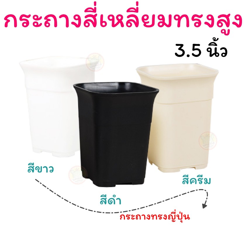 กระถางปากแตรเหลี่ยม ญีปุ่น ทรงสูง ขนาด 3.5 นิ้ว กระถางแคคตัส หรือ ไม้ดอกไม้ประดับ พลาสติก หนา ทนทาน สวยงาม ระบายน้ำได้ดี