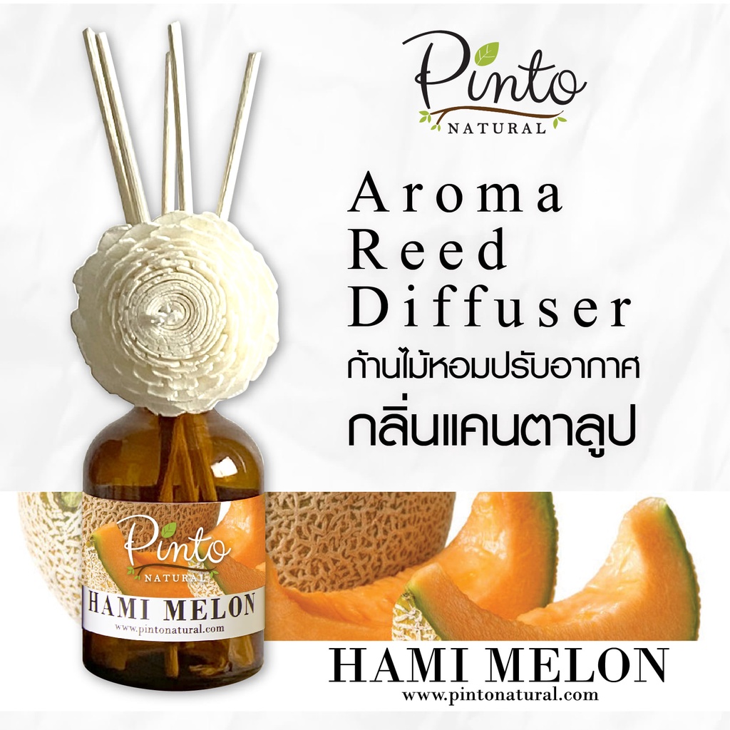 Pinto Natural Reed Diffuser Hami Melon ก้านไม้หอมปรับอากาศ กลิ่นเมล่อน ขนาด 50ml. และ 100ml.