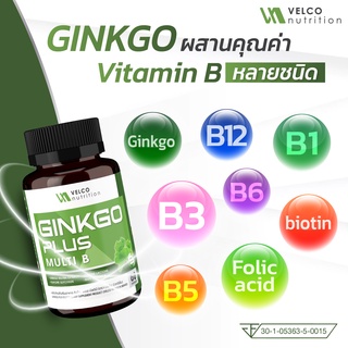 Velco nutrition Ginkgo plus multi vitamin B สารสกัดจากใบแปะก๊วย สารสกัดจากจิงโก บิโลบา Ginkgo Biloba extract