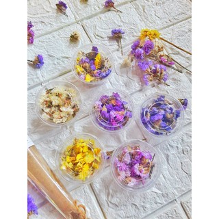 🌼(พร้อมส่ง)🌼ดอกไม้แห้ง ดอกสแตติสแห้ง สำหรับงานฝีมือ diy (ขั้นต่ำ 5 กระปุก)🌻🌷⚘🌺🌸🌼