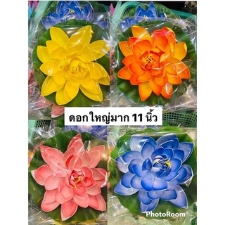 ดอกบัวขนาดใหญ่ 11 นิ้ว