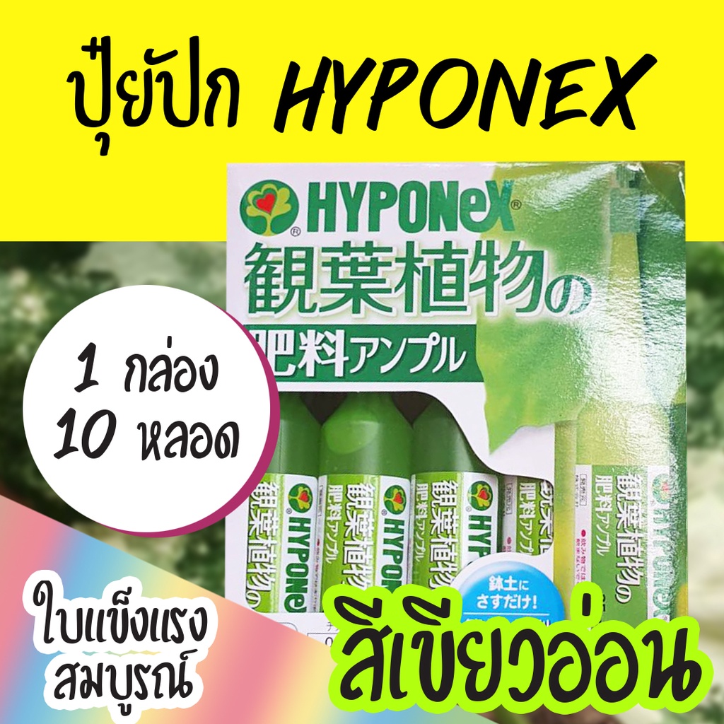 ปุ๋ยปัก ไฮโพเนกซ์ (Hyponex Ampoule) สีเขียวอ่อนสูตรไม้ใบ บำรุงใบให้แข็งแรง 1 กล่อง 10 หลอด
