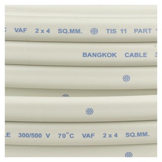 สายไฟ VAF BCC 2x4 ตร.มม. 100 ม. สีขาว สายไฟชนิด VAF จาก BCC มีประสิทธิภาพสูงในการจ่ายไฟไปยังอุปกรณ์ต่างๆเพื่อการใช้งานระ