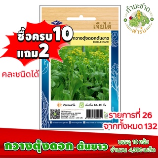 (ซื้อ10แถม2) เมล็ดพันธุ์ กวางตุ้งดอก ต้นขาว flowering pak choy ประมาณ 4,350เมล็ด เจียไต๋ เมล็ดพันธุ์พืช เมล็ดพันธุ์ผัก