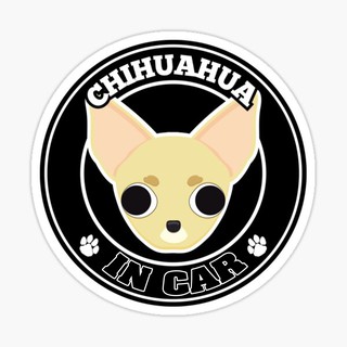 สติ๊กเกอร์ติดรถ แต่งรถ สติ๊กเกอร์ แม่เหล็กติดรถยนตร์ สติ๊กเกอร์หมา Chihuahua in Car  - DGC41