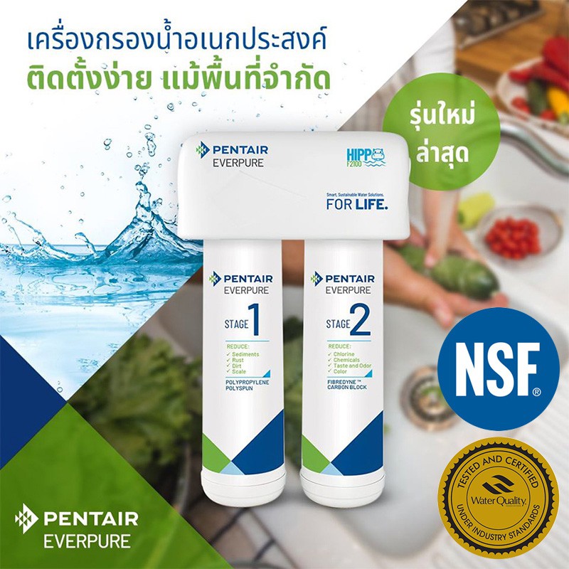 เครื่องกรองน้ำดื่ม PENTAIR F-2100 HIPPO เครื่องกรองน้ำ จากผู้ผลิตเครื่องกรองน้ำ GE GDBF-2000 Water P