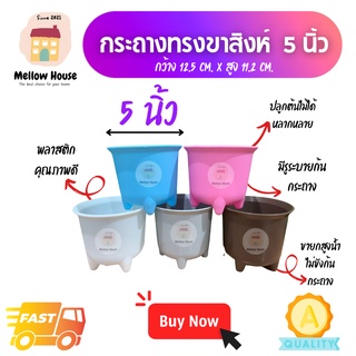 [1 ใบ] กระถางขาสิงห์ 5 นิ้ว กระถางต้นไม้พลาสติก กระถาง 5 นิ้ว กระถางแคคตัส กระถางกระบองเพชร กระถางไม้อวบน้ำ ส่งไวจากไทย