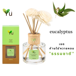 🌟🎁 ก้านไม้หอม 120 ml. กลิ่น Eucalyptus ยูคาลิปตัสกลิ่นหอมเย็นชุ่มฉ่ำ เย็นชื่นใจ หอมเย็นปลอดโปล่งโล่งสบายเป็นที่สุด