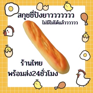 สกุชชี่ปังยาว ยาวจริง ไม่แกง พร้อมส่ง (ร้านในไทย)