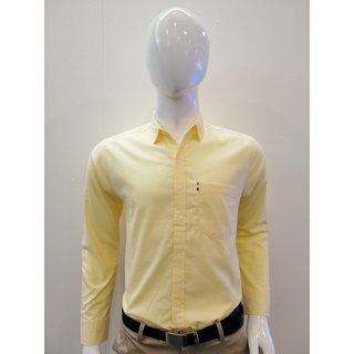 เสื้อเชิ้ตแขนยาว คอปก สีเหลือง  (ผ้า Oxford )