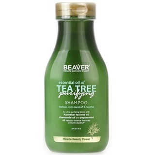 Beaver Tea tree purifying shampoo 350ml แชมพูขจัดกลิ่นอับ รังแค และความมันของเส้นผม ด้วยส่วนผสมจาก tea tree สดชื่น