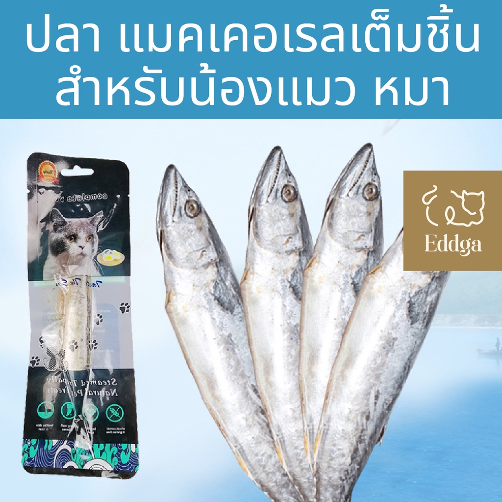 พร้อมส่ง ส่งไวจากไทย100% 🔥🔥Eddga ปลาแมคเคอเรล ต้มสุก mackerel🐟️🐟️ ขนมหมา🐶 ขนมแมว😸 ปลาต้ม ปลา แมว ปลา