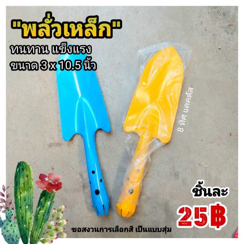 @ พลั่วเหล็ก (คละสี) // แข็งแรง ทนทาน หนา ช้อนตักดิน แคคตัส กระบองเพชร