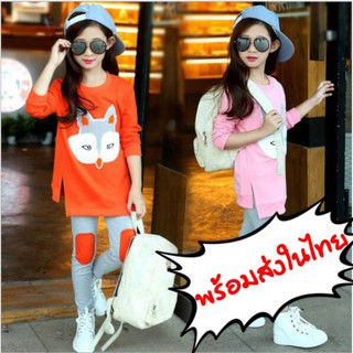 เสื้อกันหนาวเด็ก เสื้อแขนยาว+กางเกงเลคกิ้ง แต่งลายสุนัขจิ้งจอก (พร้อมส่งในไทย)