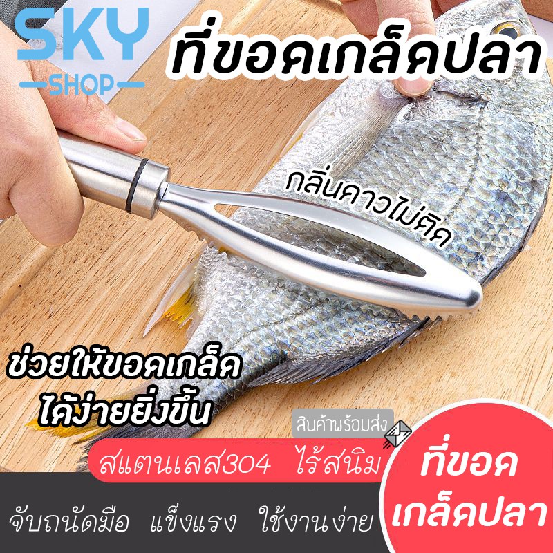 SKY ที่ขอดเกล็ดปลา อุปกรณ์ขอดเกล็ดปลา เครื่องขอดเกล็ดปลา สแตนเลส304 คุณภาพดี เกรดพรีเมี่ยม แข็งแรง ใช้งานง่าย