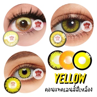 พร้อมส่งจากไทย ส่งไวมาก 💛 คอนแทคเลนส์คอสเพลย์สีเหลือง / น้ำตาล / ทอง / ส้ม รายปี สีชัดสุดๆ