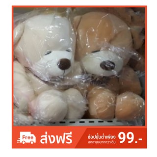 หมี Teddy ขนกุหลาบ #BA0001