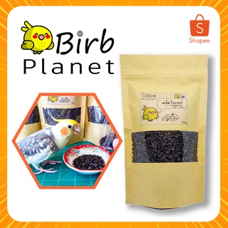 เมล็ดไนเจอร์ อาหารนก พร้อมส่ง - Niger seed for bird, ready s…