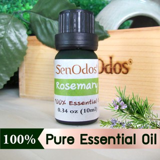 SenOdos น้ำมันหอมระเหยแท้ หอมอโรม่า กลิ่นโรสแมรี่ Aroma Rosemary Pure Essential Oils