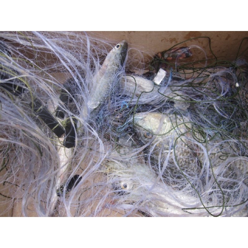 #อวนปลากระบอกราคาถูก 📌แบบสำเร็จทุ่นตะกั่ว ป้ายยาว 75 เมตร ลึก 30 ตา - รูปที่ 5