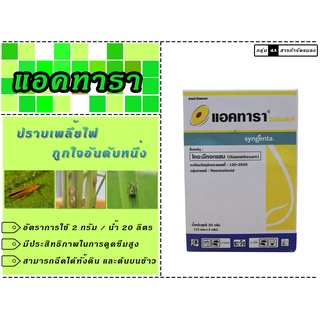 แอคทารา กล่อง 20g ไทอะมีทอกแซม ป้องกันและกำจัด แมลงปากดูด เพลี้ยแป้ง เพลี้ยกระโดด เพลี้ยไฟ เพลี้ยอ่อน เพลี้ยไก่แจ้