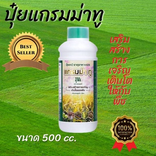 ปุ๋ยแกรมม่าทู 500cc ปุ๋ยน้ำ สูตรเร่งการเจริญเติบโต กรดอะมิโนปุ๋ยเคมี