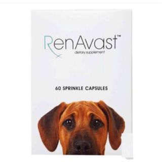 RenAvast dog 60 cap. บำรุงไตสุนัข Exp.05/21