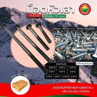 น็อต หัวเสา น็อตหัวกลม ขายเป็นตัว ขนาด 3หุน ยาวตั้งแต่ 3/8 x 3 - 12 นิ้ว CARRIAGE BOLT ขันไม้ ร้อยเสาไม้ เกลียวหุน มิตสห