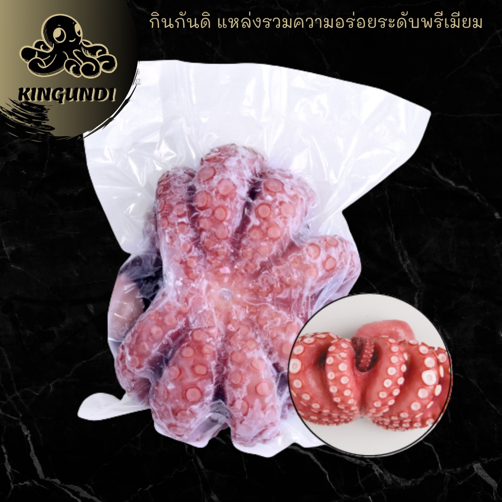 ปลาหมึกทาโกะPCF (1 PCE) หมึกพรีเมียม | KINGUNDI กินกันดิ
