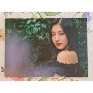 [แท้/พร้อมส่ง] โปสการ์ด เยอิน Yein คอนเสิร์ต Lovelyz ONTACT Concert Deep Forest Postcard