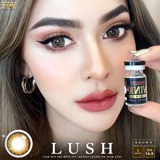 💋 ตาโต มีค่าสายตา 💋 Wink Lush Gray Brown บิ๊กอาย สุดปัง คอนแทคเลนส์ รายเดือน มีอย แถมตลับฟรี เลนส์นิ่ม สวยปังมาก