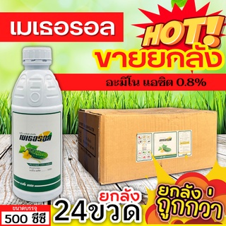 🌾 💥💥 สินค้ายกลัง 💥💥 เมเธอรอล (อะมิโนแอซิด) ขนาด 500ซีซีx24ขวด แตกยอดใหม่ ขยายผล ฟื้นต้น