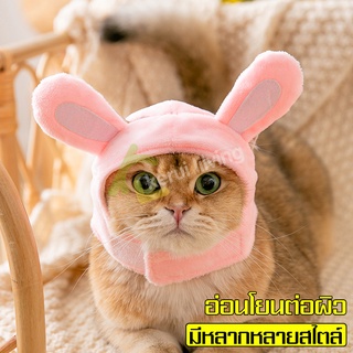 Pet Hat หมวกแฟชั่น..