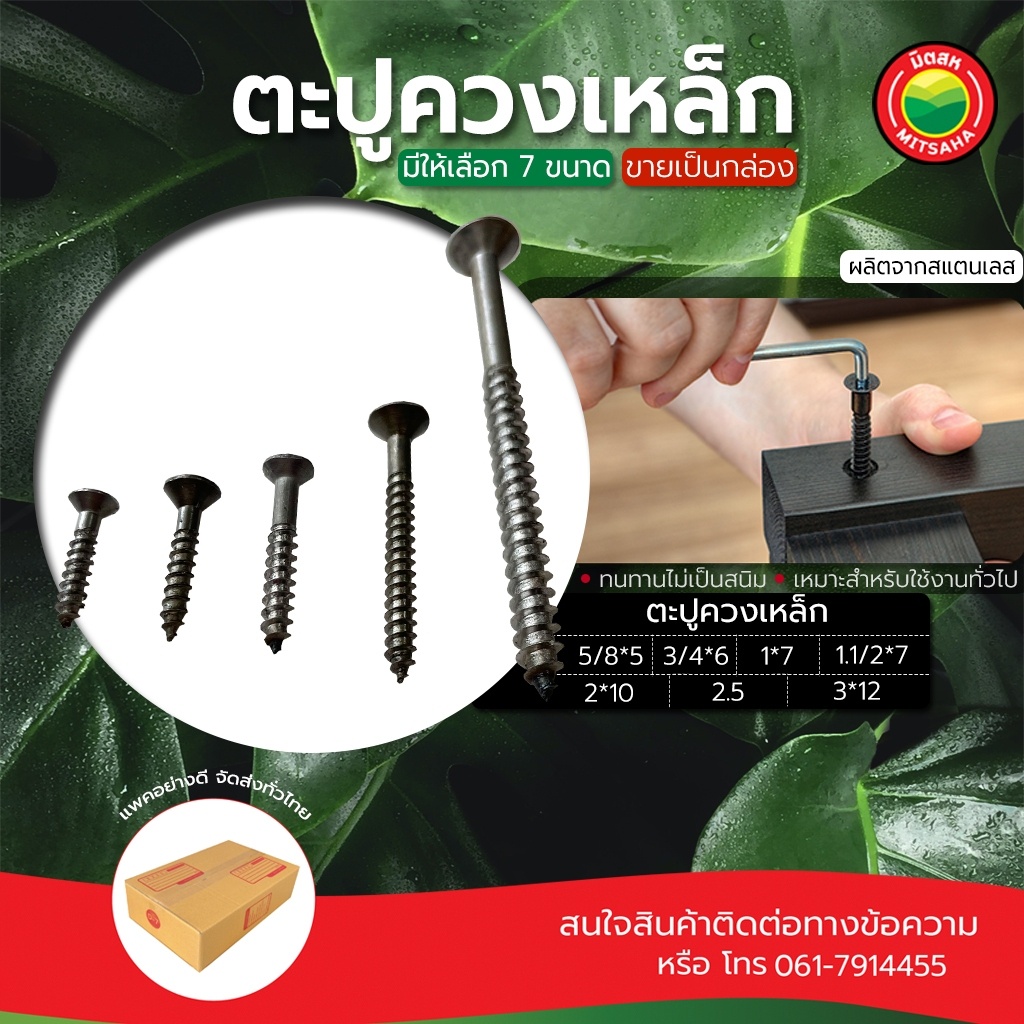 ตะปูควงเหล็ก ตะปู ขายเป็นกล่อง ขนาด 5/8x5, 3/4x6, 1x7, 1.1/2x7, mm IRON WOOD SCREW ควงเหล็ก ตะปูควง 