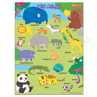 โปสเตอร์พลาสติก Wild Animals (Talking Pen)