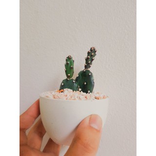 โอพันเทีย ตุ๊กตาไม้ Opuntia canterai