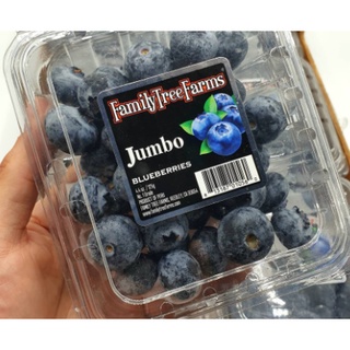 TOP-1บลูเบอรี่นำเข้า Blueberry (1แพค/JUMBO) (USA/NZL/Peru/Chile) ~ลดพิเศษ~ Premium ผลไม้สด ที่สุดของบลูเบอร์รี่ บลูเบอรี