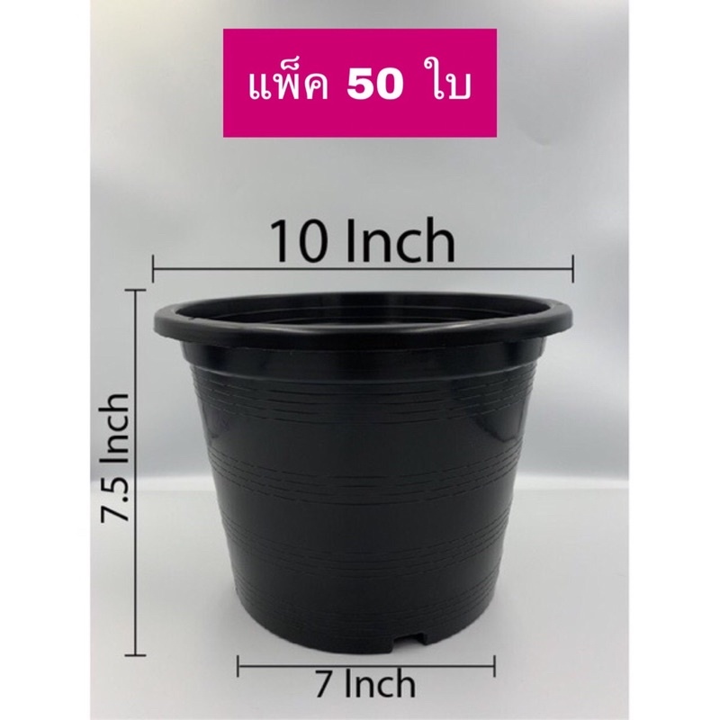 กระถางต้นไม้พลาสติก/กระบองเพชร/แคคตัส/ต้นไม้มงคล 10 นิ้ว ทรงกลม แพ็ค 50 ใบ สีดำ