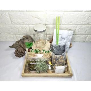 สวนขวด DIY ชุดจัดสวน ไซต์ S เบสิค ราคา 189 บาท มีสินค้าพร้อมส่ง