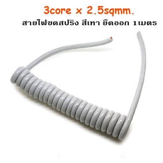 3core x 2.5sqmm. extended 1M.(Gray Color). SKU:050149