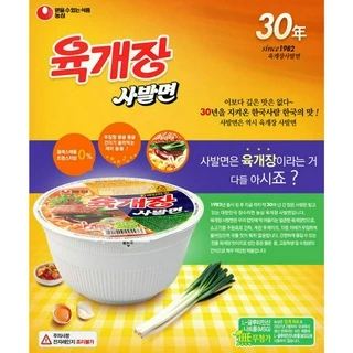 [ของแท้] 육개장사발면 Nongshim Bowl Noodle Soup Beef Flavor (บะหมี่กึ่งสำเร็จรูปรสซุปเนื้อวัวแบบถ้วย) 86g