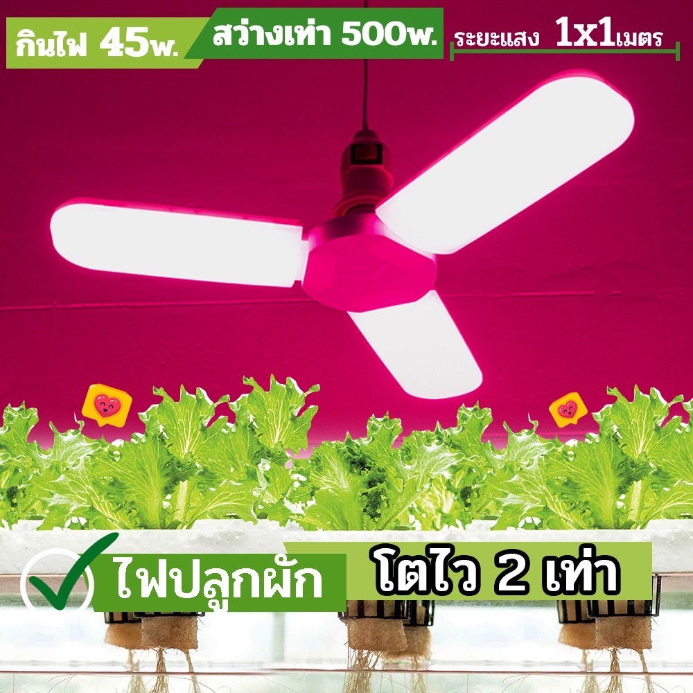 SF หลอดไฟปลูกผัก ไฟปลูกผัก ไฮโดรโปนิกส์ ปลูกกัญชา led grow light ขั้วE27 hydroponics ประหยัดไฟ ไฟเลี