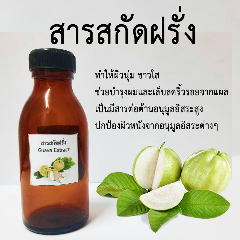 สารสกัดฝรั่ง Guava Extract 100 ml