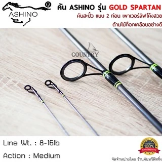 ASHINO รุ่น GOLD SPARTAN คันเบ็ดตกปลา 2 ท่อน ด้ามไม้ก็อกเคลือบอย่างดี