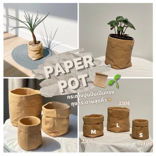 Paper Pot📜 กระถางปูนปั้นเป็นทรงถุงกระดาษสุดคิ้ว✨